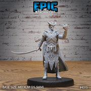Infernal Knight - Epic Miniatures | Infernal Assault | 28mm | 32mm | Demon | Devil | Champion | Fighter