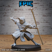 Owl Folk Monk - Epic Miniatures | Mighty Heroes | 28mm | 32mm | Sorcerer | PC | Traveler