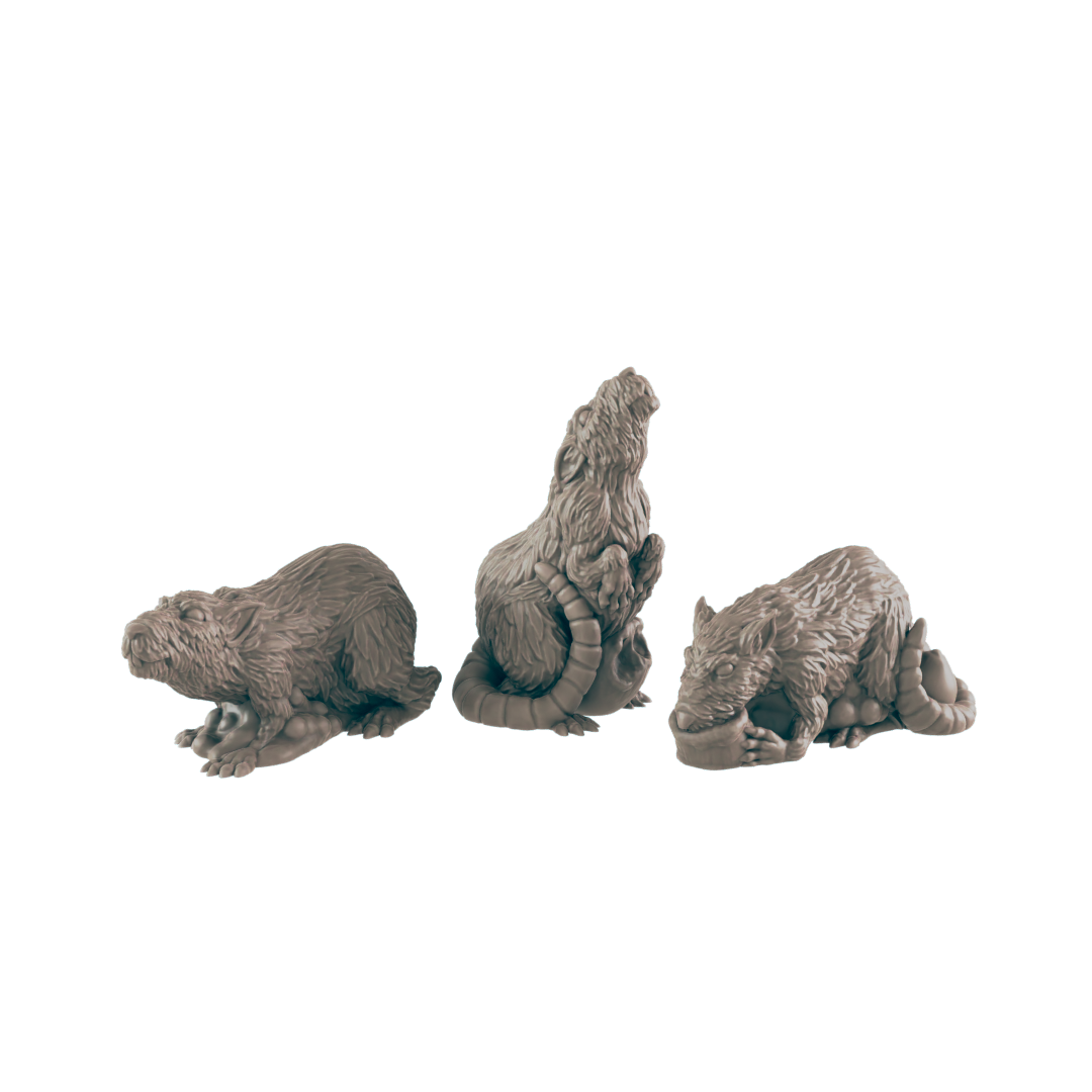 Rats (7x Pieces) - Ec3d