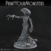 Mushroom Queen - Print Your Monsters