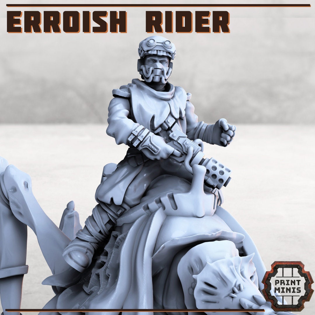 Erroish Riders - Print Minis