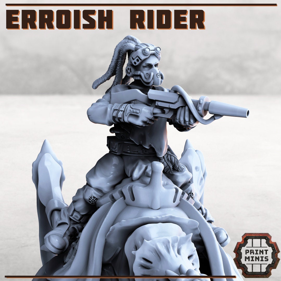 Erroish Riders - Print Minis