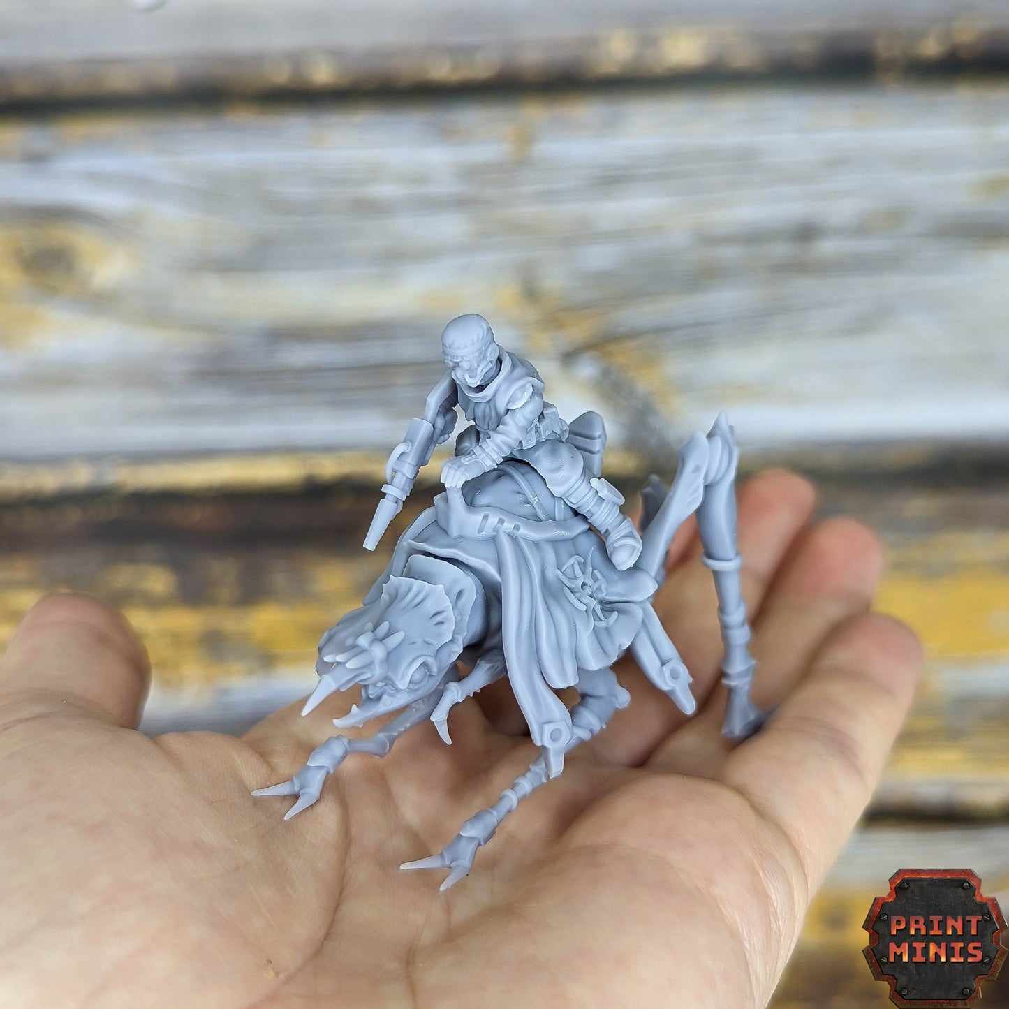 Erroish Riders - Print Minis
