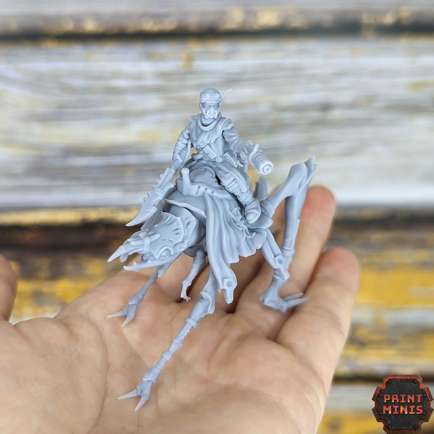 Erroish Riders - Print Minis