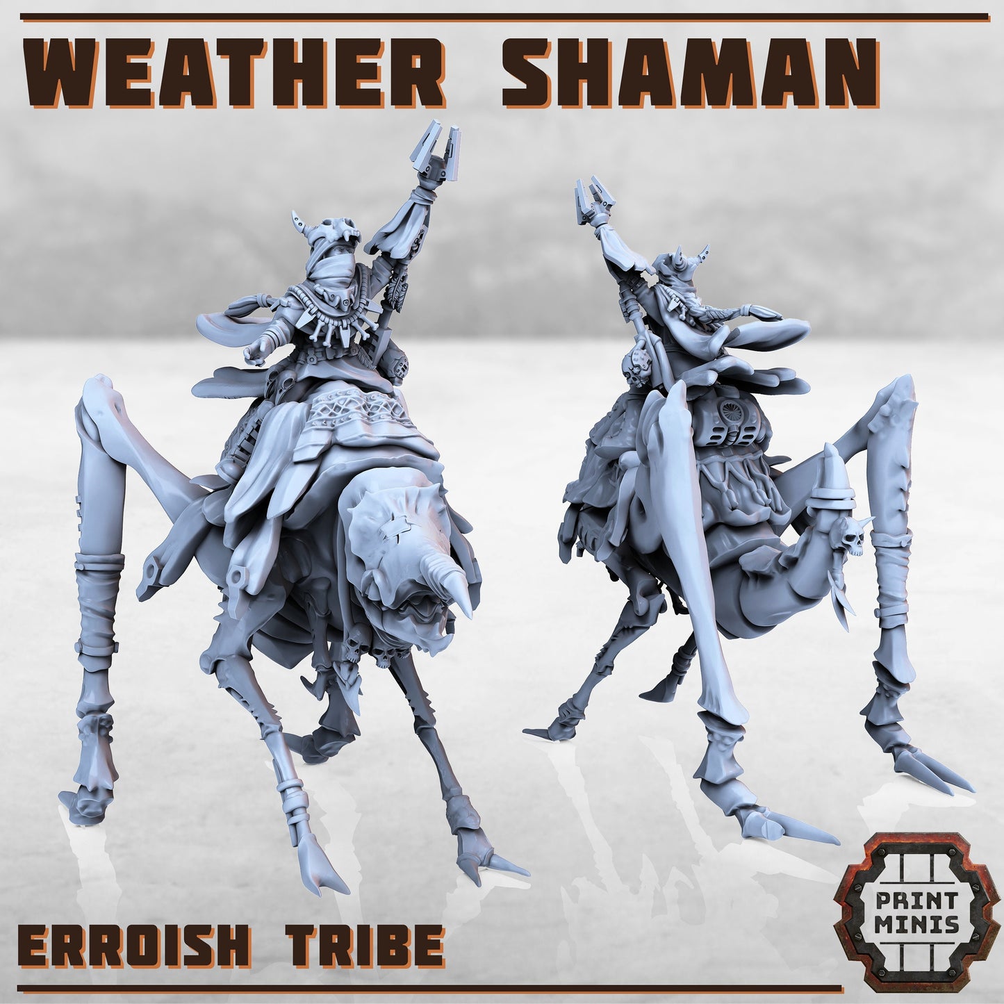 Weather Shaman - Print Minis