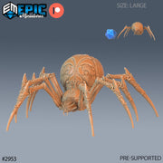 Giant Dungeon Spider - Epic Miniatures | Goblin Caves | 28mm | 32mm | Cave