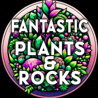 Fantastic Plants and Rocks