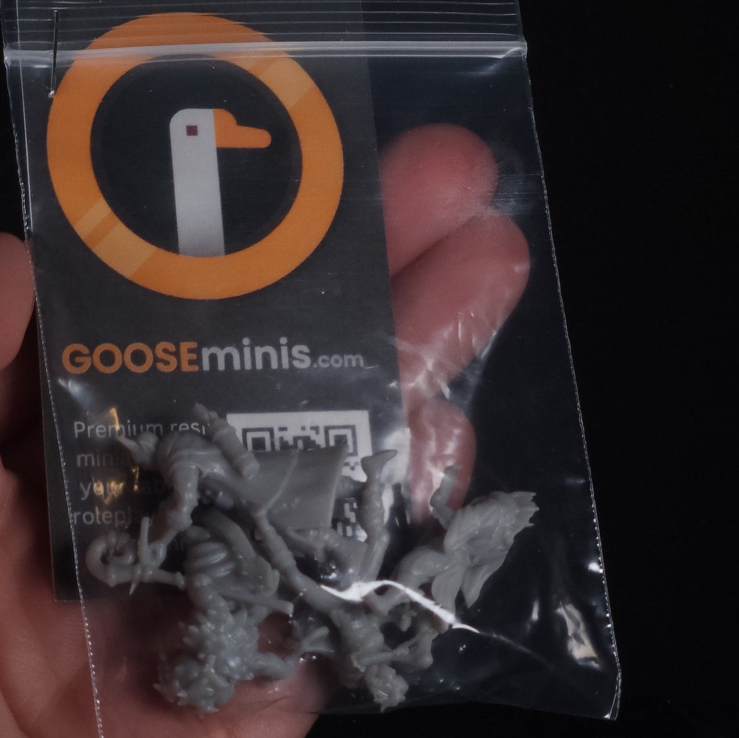 Pre-printed Adventurer Pack - 4+ Minis!