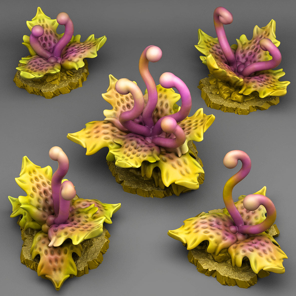 Carnivorous Tentacle Plants - Fantastic Plants and Rocks