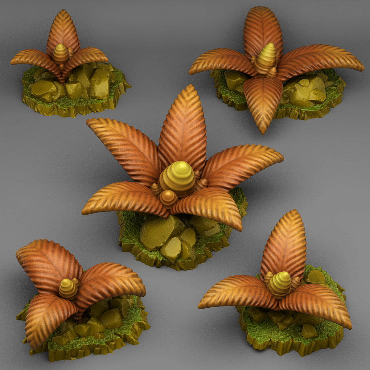 Dangerous Bee Plants - Fantastic Plants and Rocks