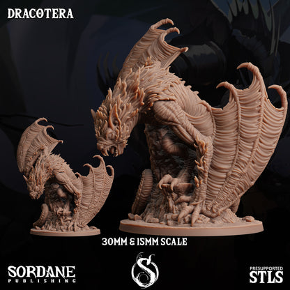 Dracotera, Giant Bat Monster- Sordane Publishing