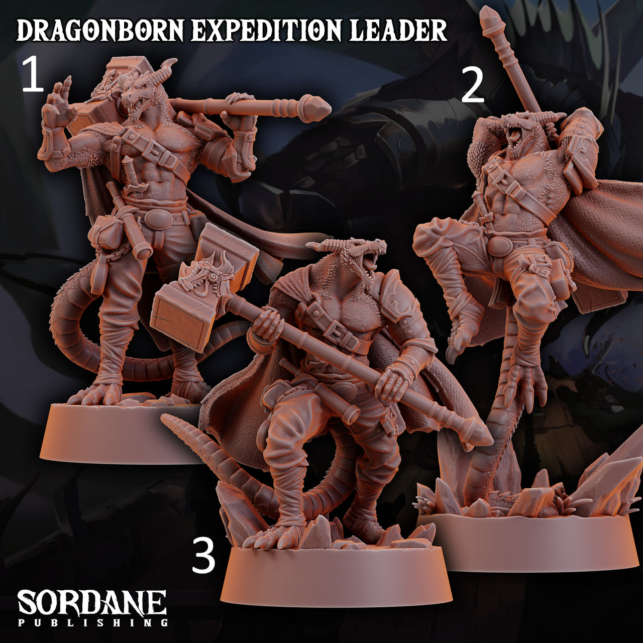 Dragonborn Expedition Leader - Sordane Publishing