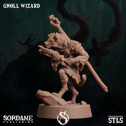 Gnoll Wizard - Sordane Publishing
