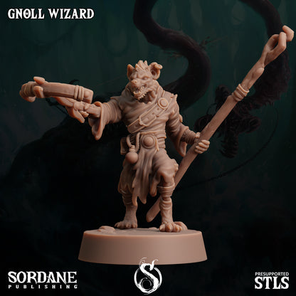 Gnoll Wizard - Sordane Publishing