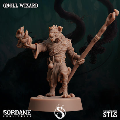 Gnoll Wizard - Sordane Publishing