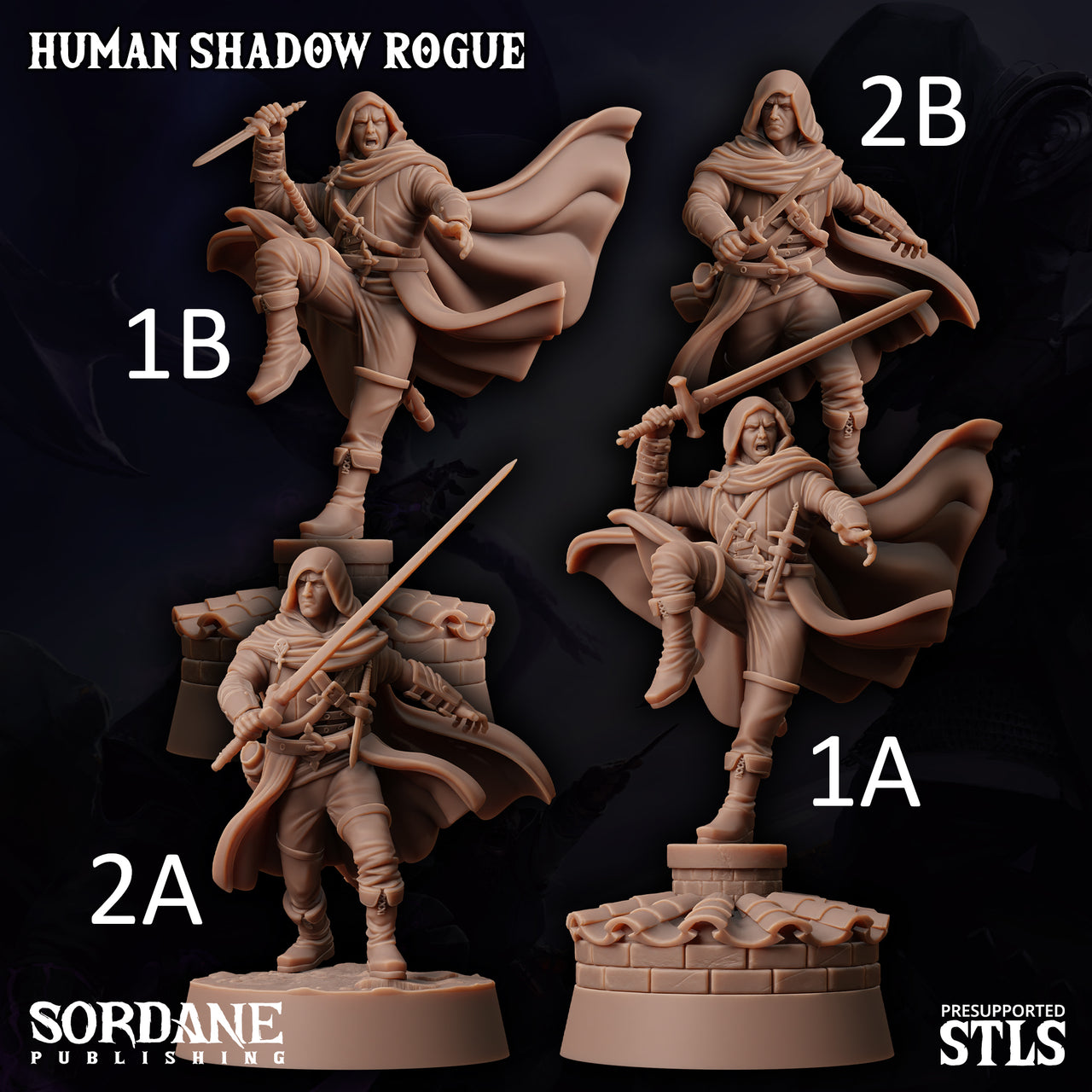 Human Shadow Rogue - Sordane Publishing