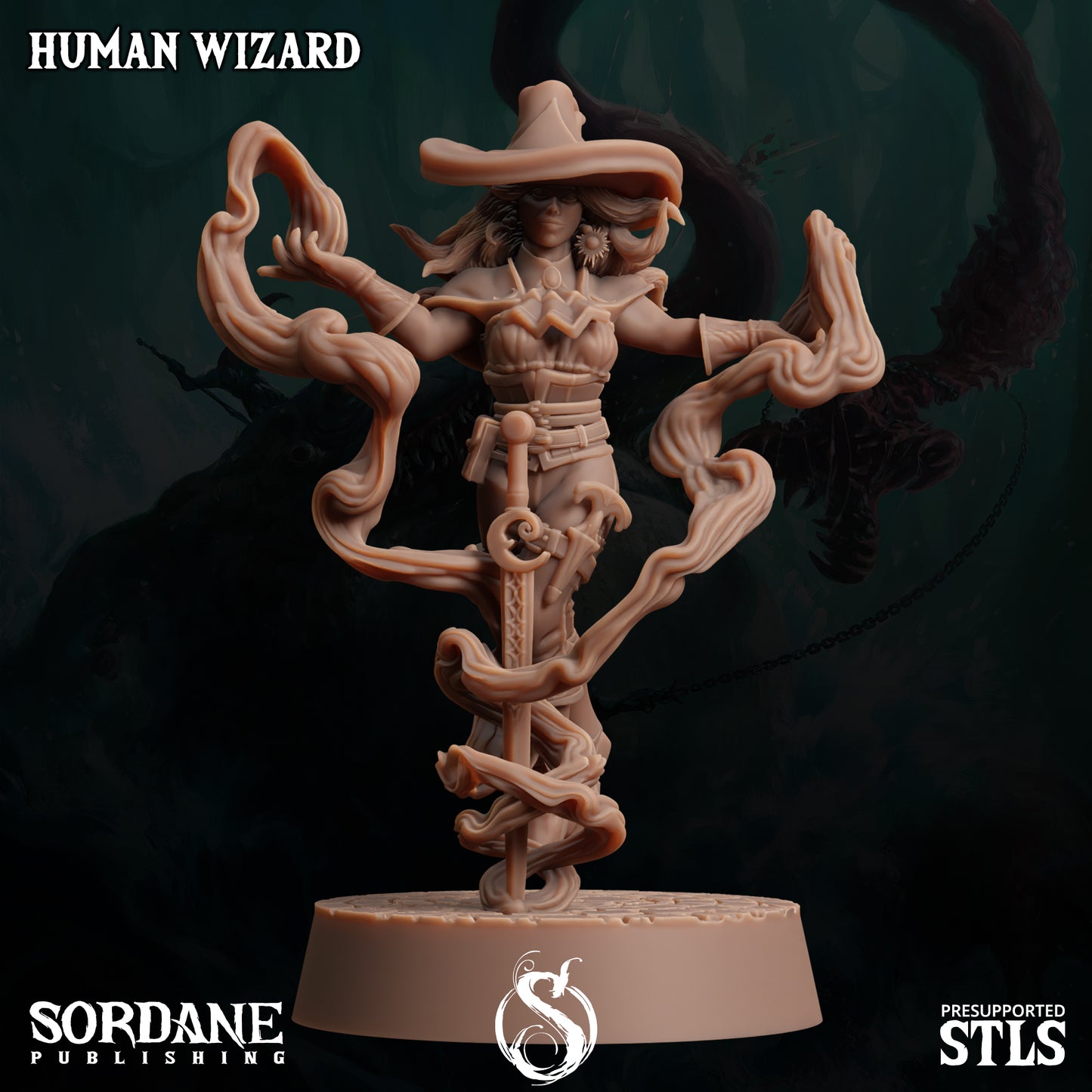 Human Wizard - Sordane Publishing