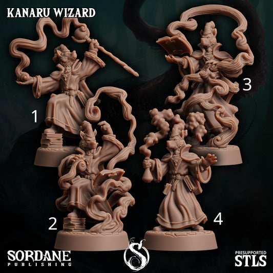 Kanaru Wizard - Sordane Publishing