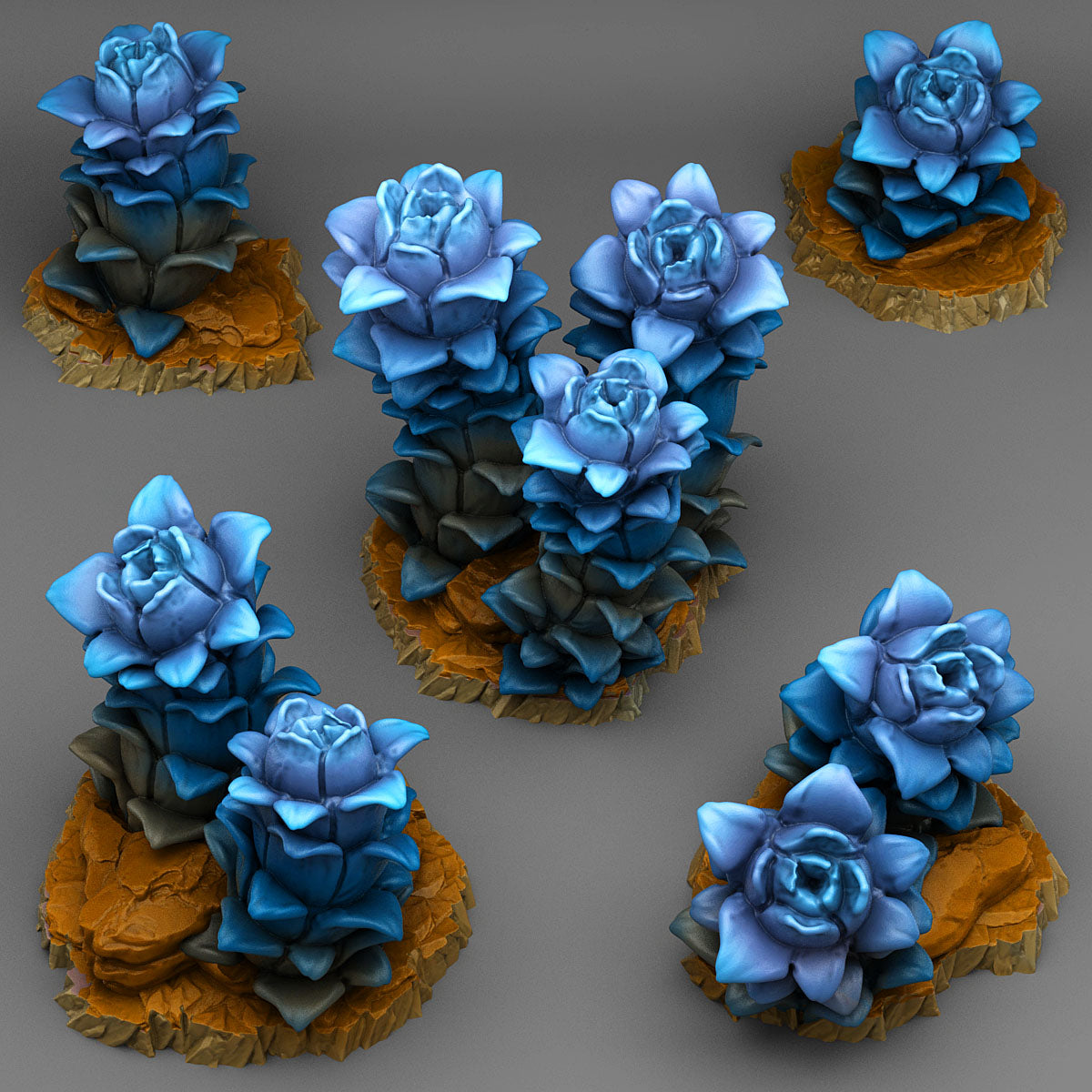 Night Desert Plants - Fantastic Plants and Rocks