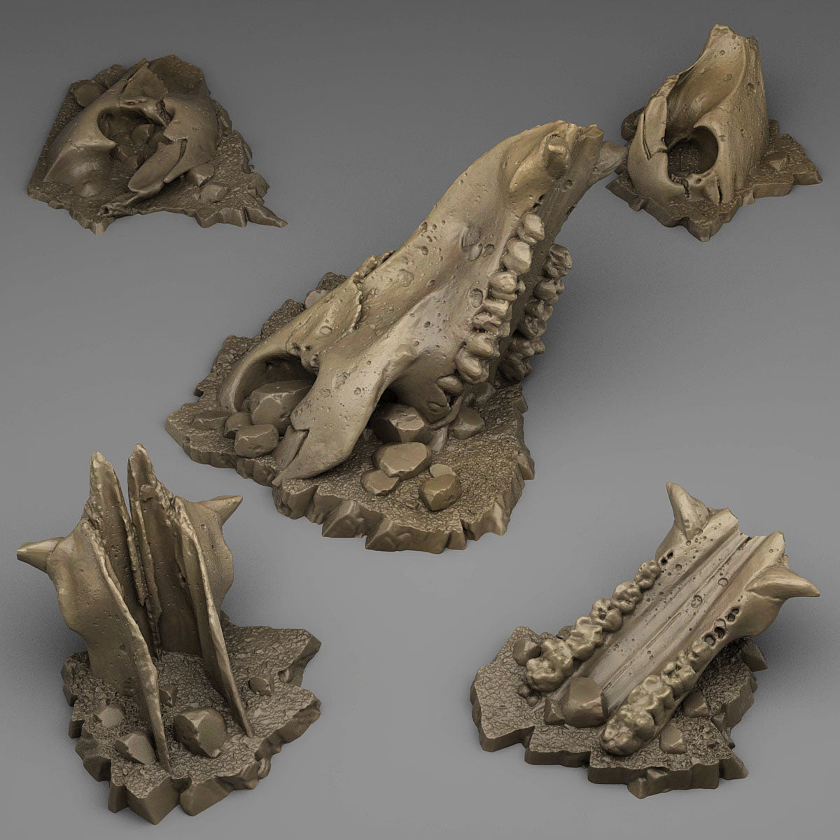 Old Creature Bones - Fantastic Plants and Rocks