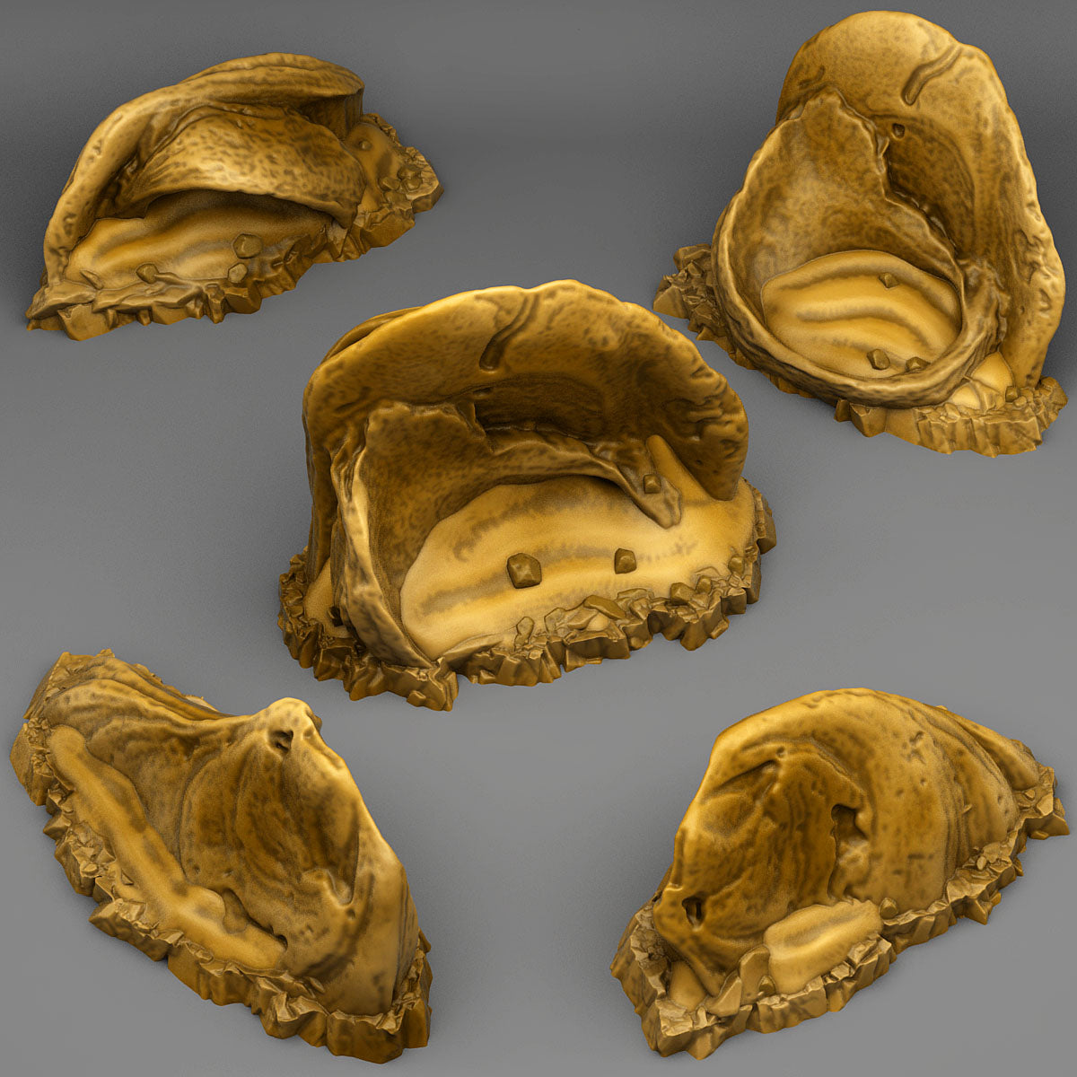 Sharp Desert Stones - Fantastic Plants and Rocks