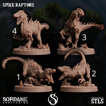 Spike Raptors- Sordane Publishing