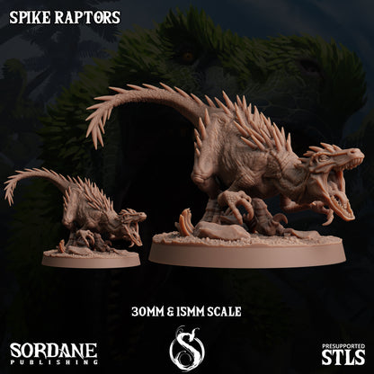 Spike Raptors- Sordane Publishing