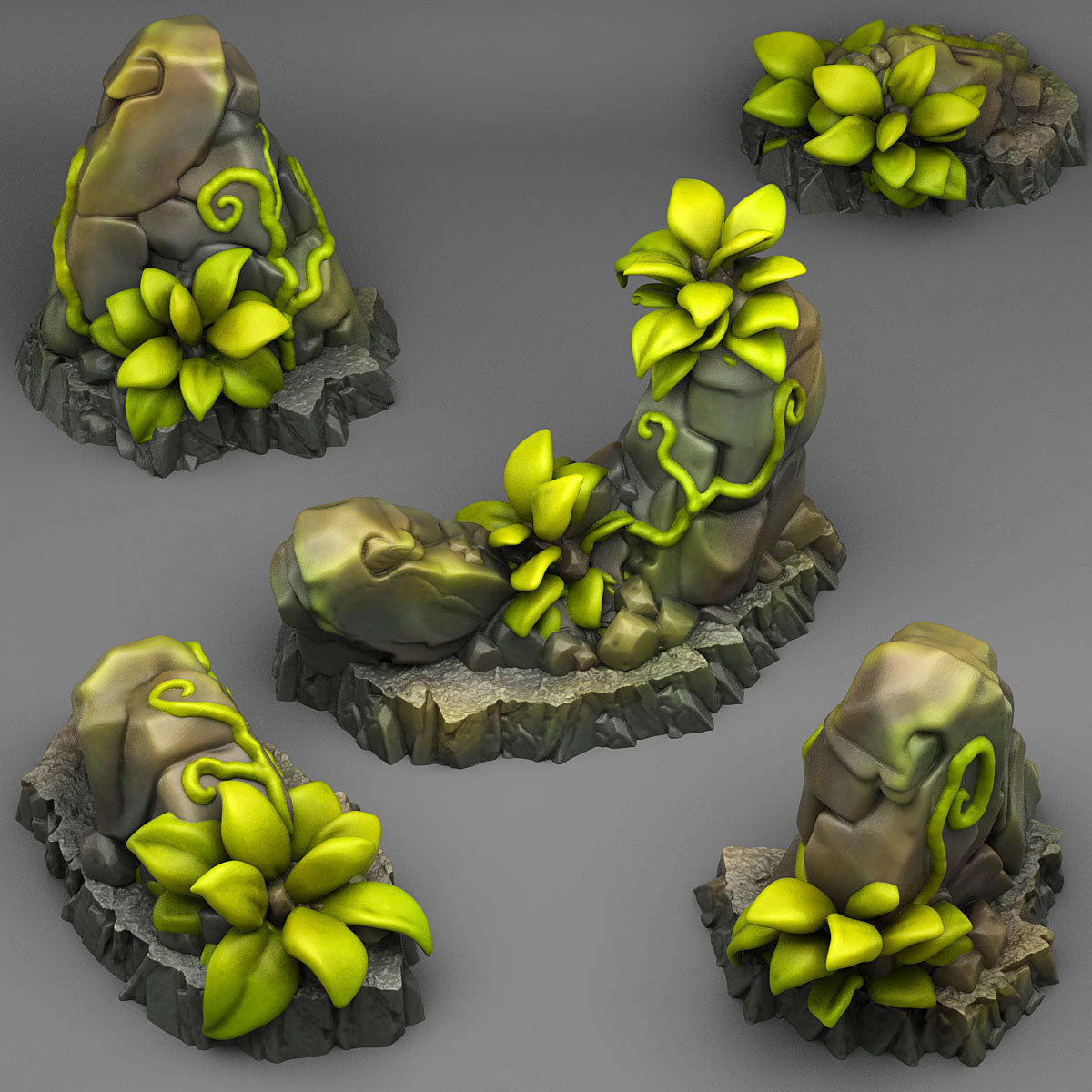Tropical Rocks - Fantastic Plants and Rocks