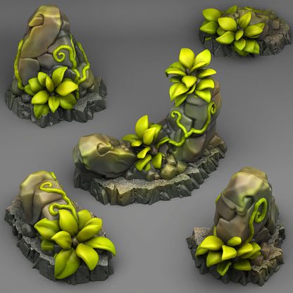 Tropical Rocks - Fantastic Plants and Rocks