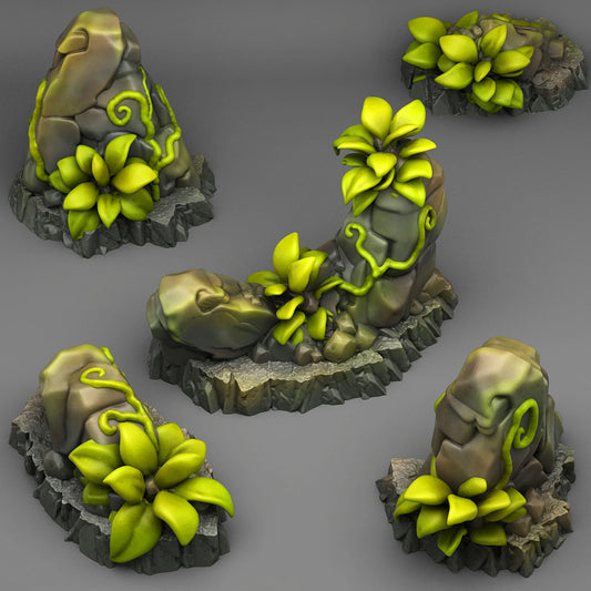 Tropical Rocks - Fantastic Plants and Rocks