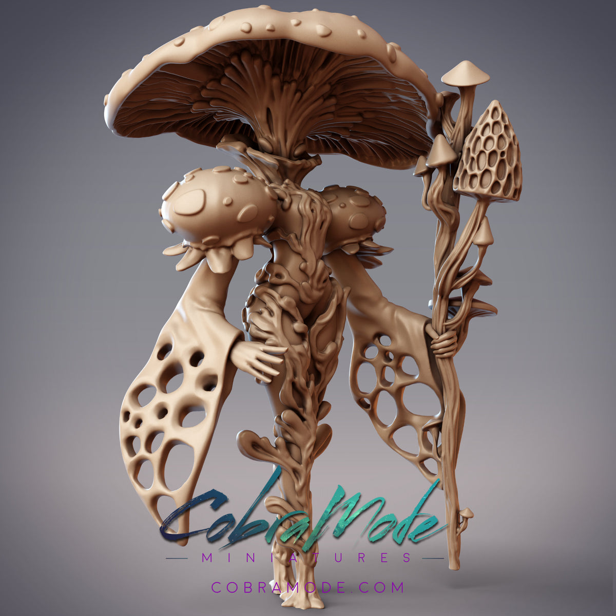 Caillech Spawn Arcanist. Mushroomfolk Sorcerer - CobraMode