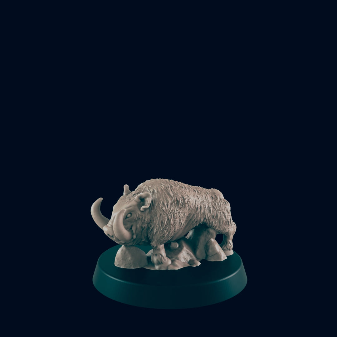 Boar - Ec3d