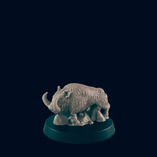 Boar - Ec3d