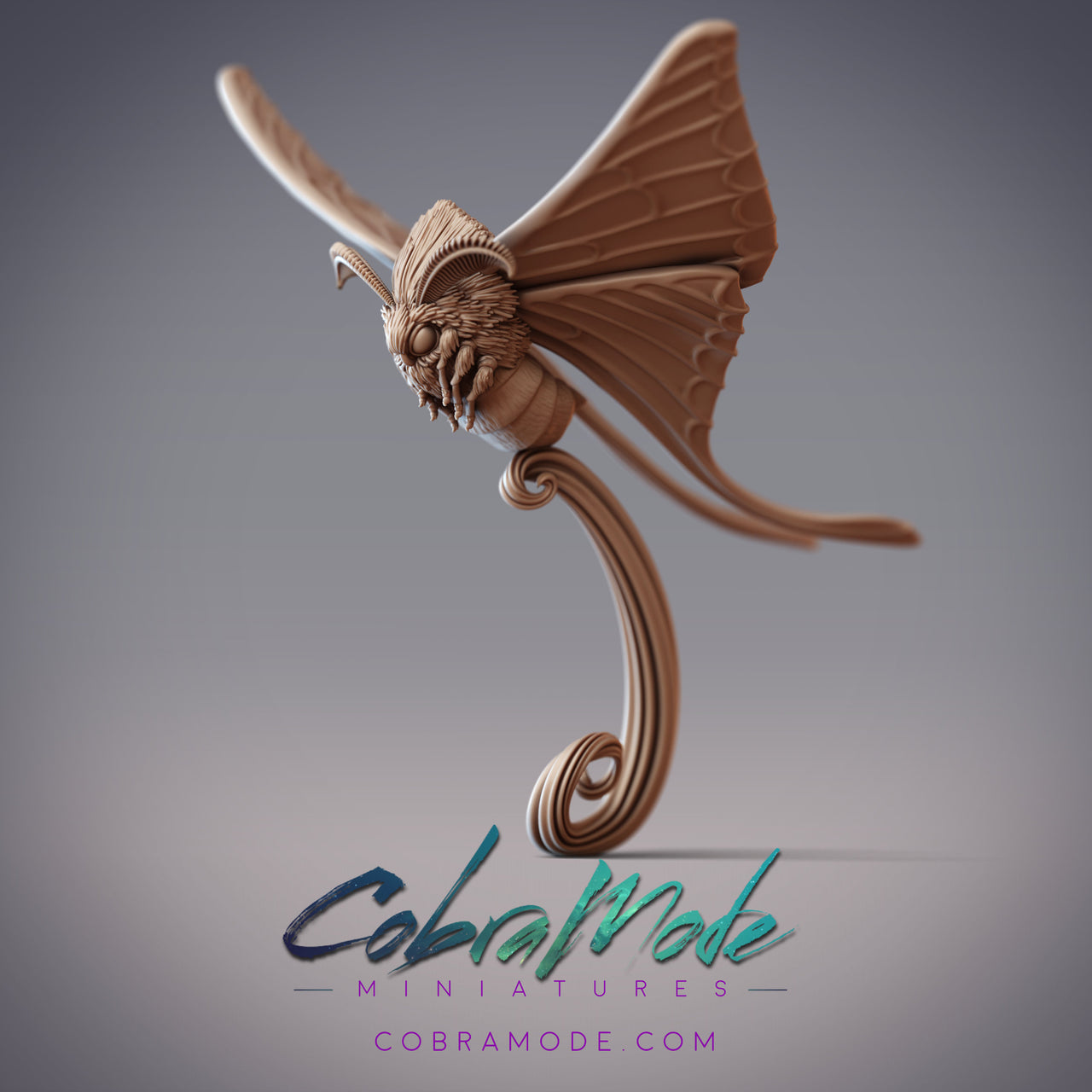 Fluffyhead moth - CobraMode