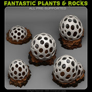 Alien Mushrooms Scatter Terrain - Fantastic Plants and Rocks