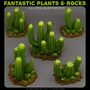 Poisonous Cactus Scatter Terrain - Fantastic Plants and Rocks