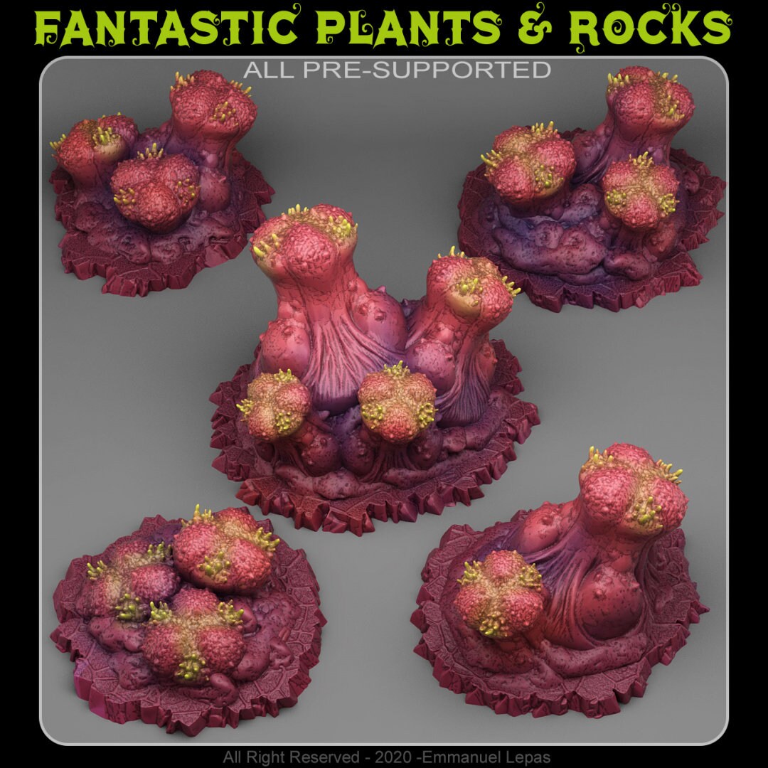 Organic Mushroom Scatter Terrain - Fantastic Plants and Rocks