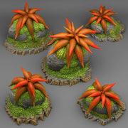 Mysterious Starfish Flowers Scatter Terrain - Fantastic Plants and Rocks
