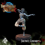 Sultans Concubines - Crippled God Foundry | 32mm | The Cursed Sultan | Demon | Vampire | Ghoul