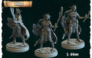 Druif - Crippled God Foundry, Bladeport | 32mm | Knight | Elf | Female | Traveller