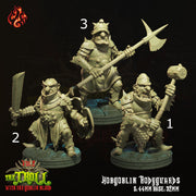 Hobgoblin Bodyguards - Crippled God Foundry - Troll With the Goblin Blood | 32mm | Knight