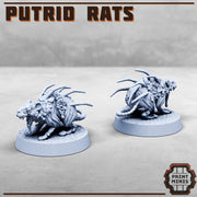 Putrid Rate - Print Minis