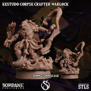 Kestudo Corpse Crafter Warlock. Turtle Necromancer - Sordane Publishing | 28mm and 32mm | Wargaming | DnD | Tabletop Roleplaying