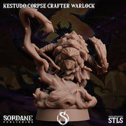Kestudo Corpse Crafter Warlock. Turtle Necromancer - Sordane Publishing | 28mm and 32mm | Wargaming | DnD | Tabletop Roleplaying