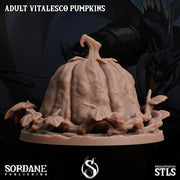 Adult Vitalesco Pumpkin - Sordane Publishing | 28mm and 32mm | Wargaming | DnD | Tabletop Roleplaying