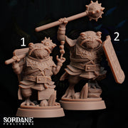 Froin Cleric, Kudmiz. Frogfolk Warrior - Sordane Publishing | 28mm and 32mm | Wargaming | DnD | Tabletop Roleplaying
