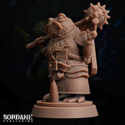 Froin Cleric, Kudmiz. Frogfolk Warrior - Sordane Publishing | 28mm and 32mm | Wargaming | DnD | Tabletop Roleplaying