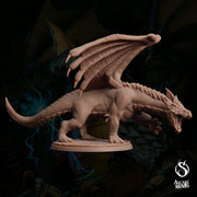Young White Dragon - Sordane Publishing | 28mm and 32mm | Wargaming | DnD | Tabletop Roleplaying