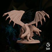 Young White Dragon - Sordane Publishing | 28mm and 32mm | Wargaming | DnD | Tabletop Roleplaying