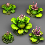 Jungle Carnivorous Plants - Fantastic Plants and Rocks | 28mm and 32mm | Wargaming | DnD | Tabletop Roleplaying